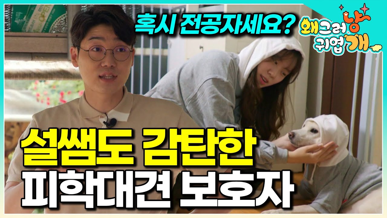 지옥에서 살아남은 개들… 마음의 문 닫은 녀석들에게 보호자는 끝까지 포기하지 않았습니다│#왜그러냥귀엽개