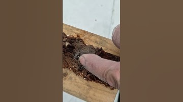 Soaked end grain balsa core