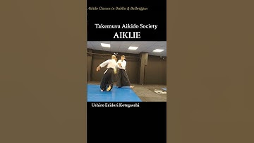 Aikido Tutorials: Ushiro Eridori Kotegaeshi. Takemusu Aikido classes in Dublin and Balbriggan.