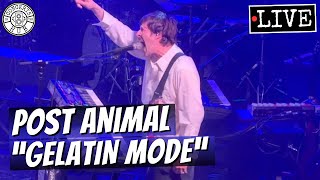 Post Animal "Gelatin Mode" LIVE