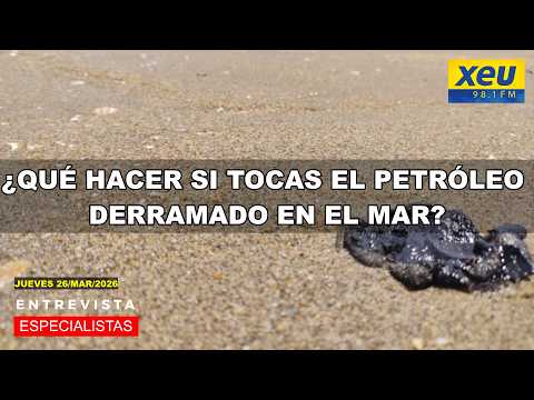 ¿Qué hacer si tocas el petróleo derramado en el mar?