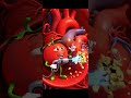 May Tamatar #healthfacts #comedyshorts #sciencesimplified #funny #comedyvideos #animation