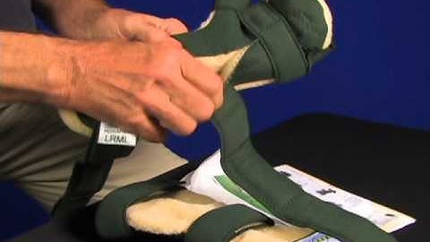 Packaging v3 YouTube sharing