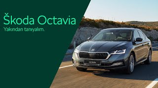 Škoda Škoda Octavia Škoda Octaviayı Yakından Tanıyalım