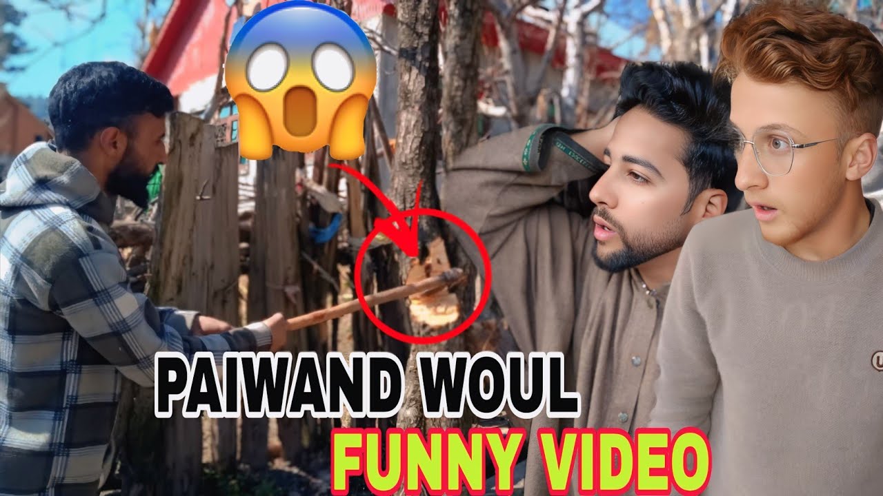 Забавное видео с Пайвандом | Автор: Dar Productions