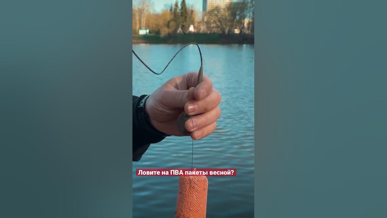 Поисковый метод ловли карпа весной на ПВА пакеты и стики! #карпфишинг ...