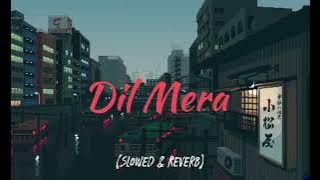 Dil Mera Song (Slowed & Reverb) | Talwinder Song🩵 Reverb