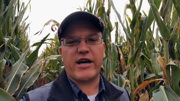 Moisture Sensor Calibration