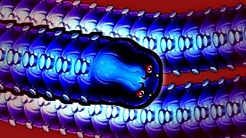 SNAKE LITE - WORM SNAKE GAME NEW UPDATE 2024 || LITTLE BIG SNAKE