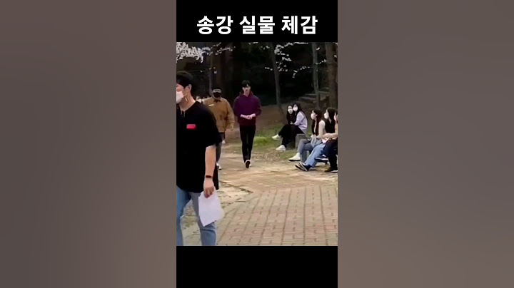 송강 실물 체감하기