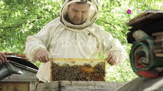 Conquer Common Beekeeping Challenges: Beekeeping 101!