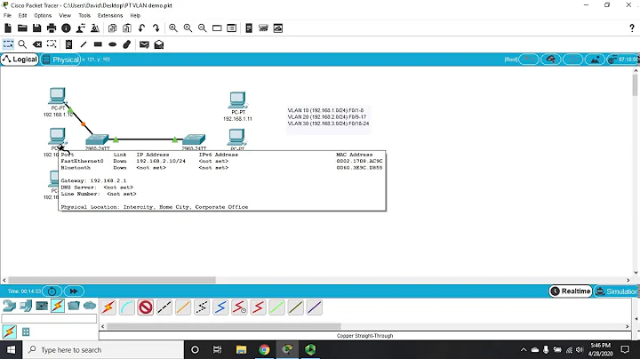 VLANs,  Access Ports, and Trunk Lines