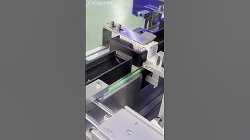 Hologram label labeling machine for carton