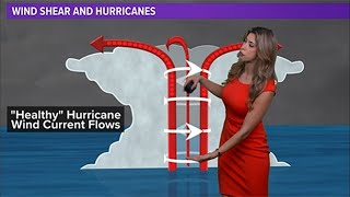 El Nino plays small role in hurricane outlook Meteorologist Kim Castro explains