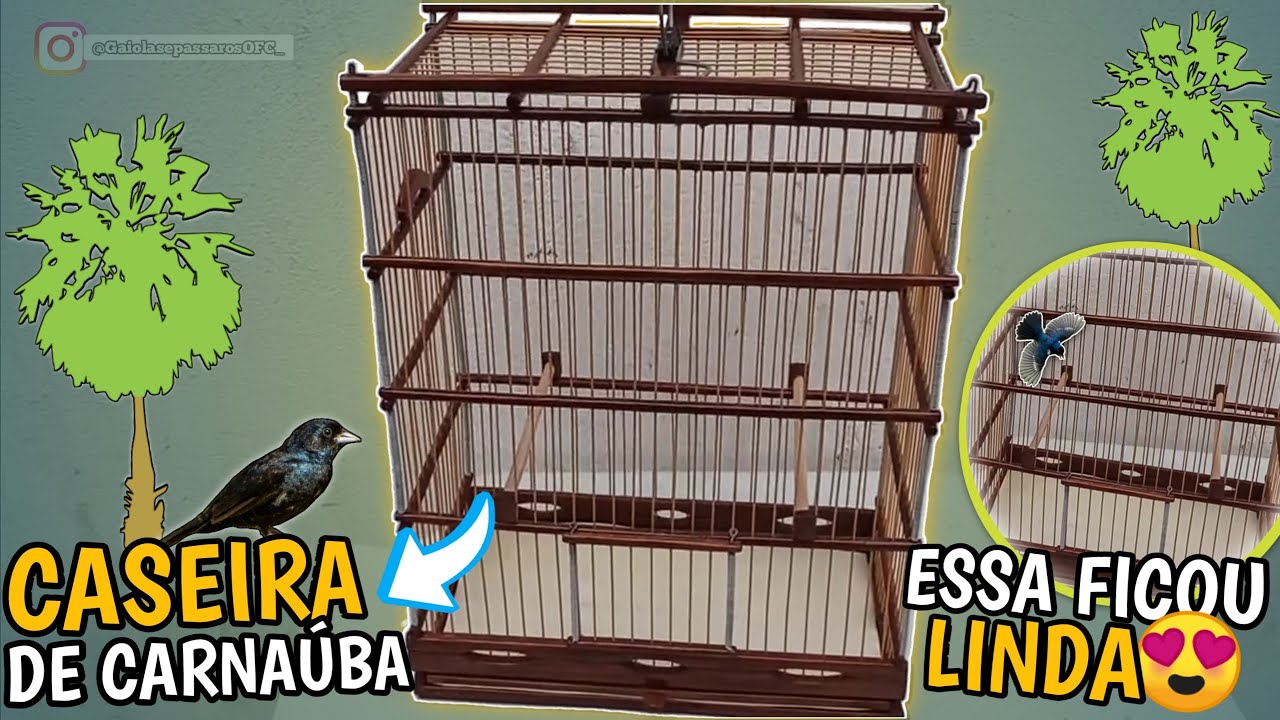 🌴 PASSO A PASSO - GAIOLA PARA TIZIL (ARTESANAL DE CARNAÚBA) APRENDA FAZER!!!