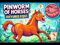 Pinworm of Horses (Oxyuris equi) | Morphology, Life Cycle, Pathogenesis, | Veterinary Parasitology