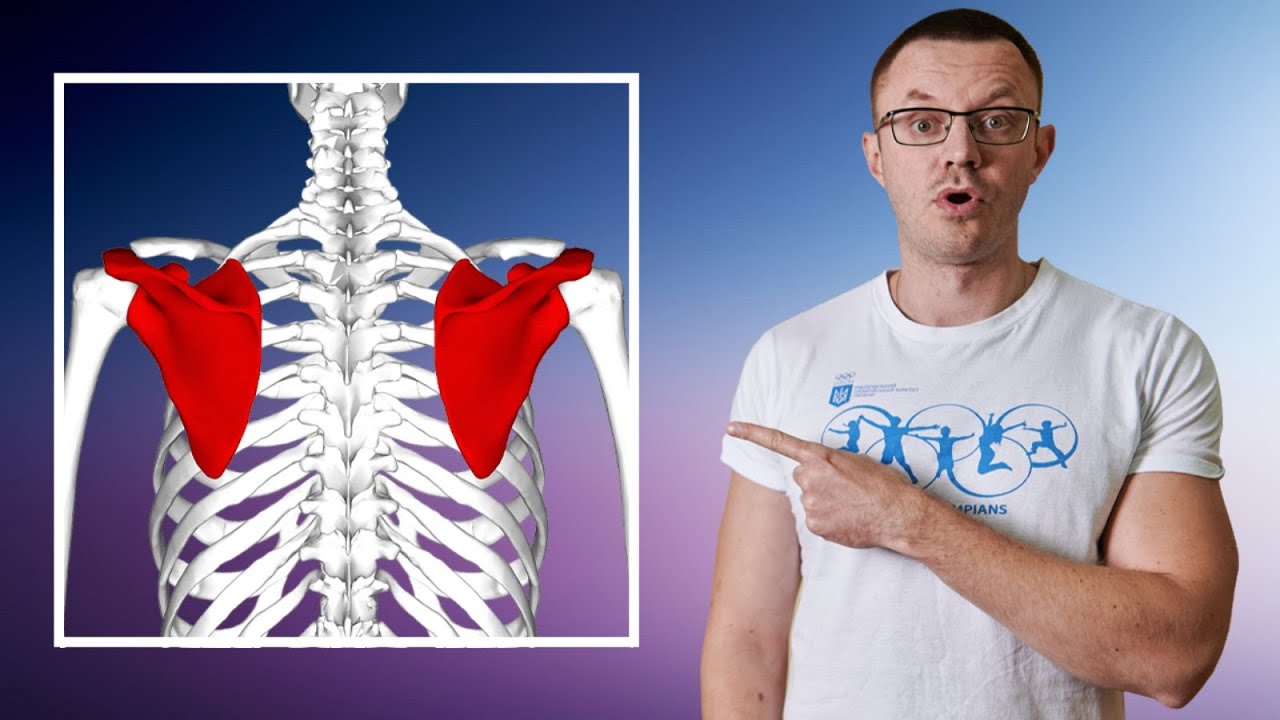 Как Избавиться от Торчащих Лопаток? Торчат Лопатки Что Делать?