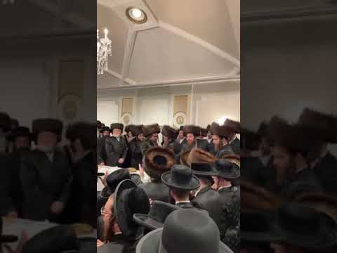 כ״ק אדמו״ר מסאטמאר שליט״א איז זיך משתתף ביי די שמחת החתונה בבית אב״ד סאטמאר מאנסי שליט״א