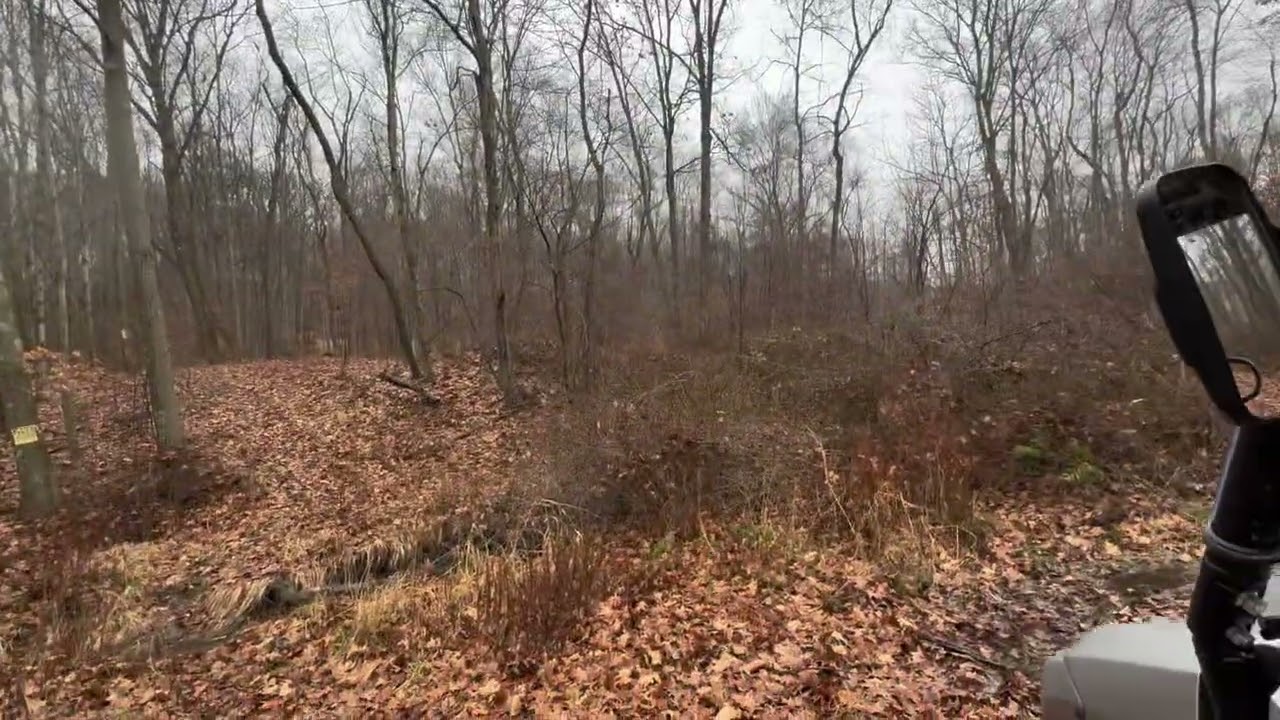 Mule Ride: PA Farm in the Fall
