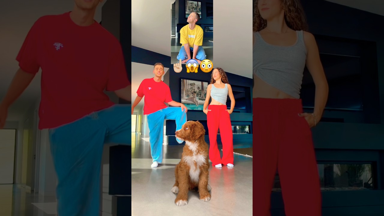 Puppy Dance Class! 😱🐶 BEHIND THE SCENES! 🎥🤣 #puppy #dance #viral