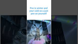 atleast im warm #winter #cats #shower #zuza #funny #blue #cold #warm
