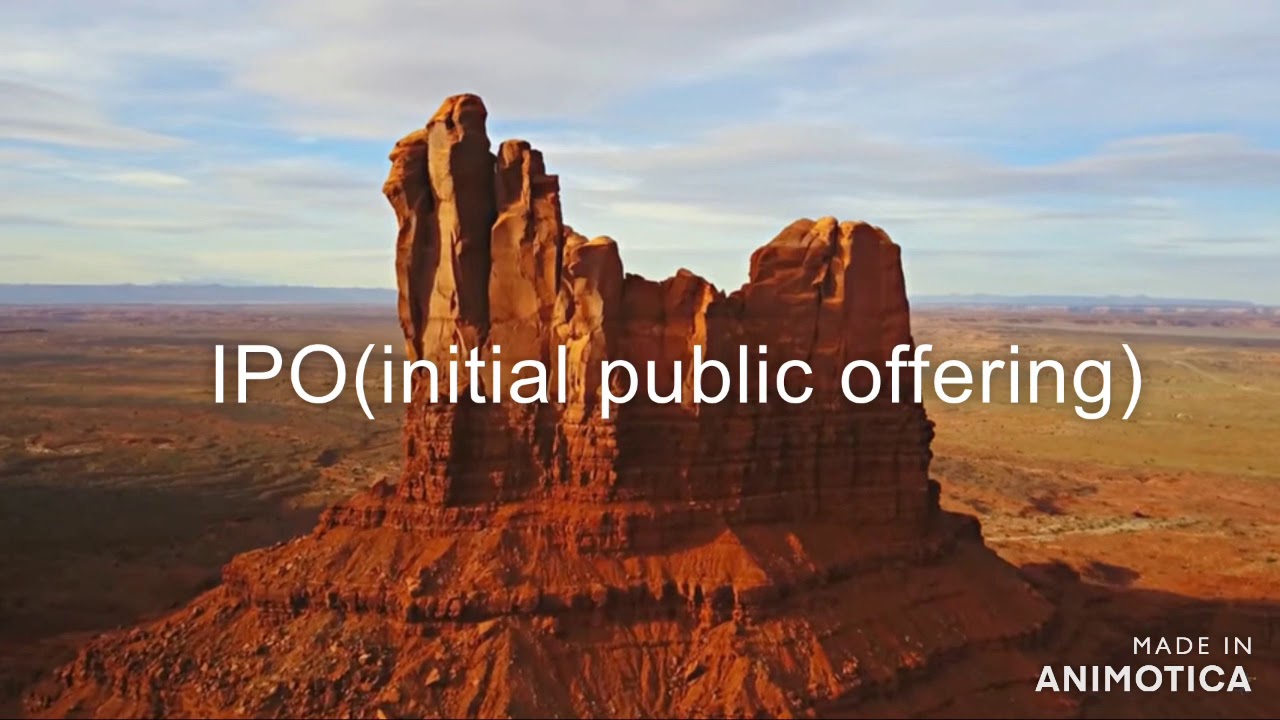 why stock market exists?