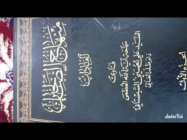 هل يجوز السجود على المأكول أو الملبوس وعلى ظاهر اليد -اية الله العظمى السيد علي السيستاني (دام ظله)