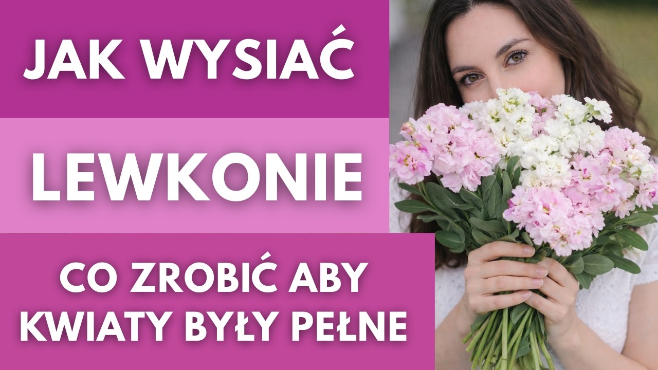 Jak wysiać i uprawiać lewkonie w ogrodzie. Jak odróżnić kwiaty pełne   #ogród #kwiaty