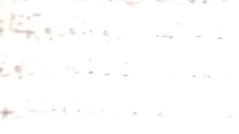 سورة البقرة صفحة ٣٦