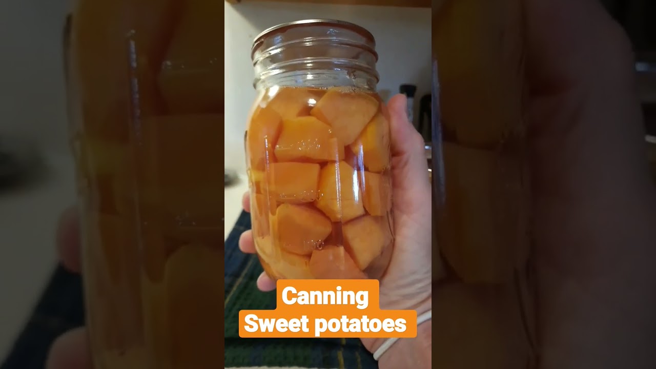 water bath canning sweet potatoes. YouTube