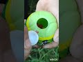Asmr candy#candy