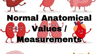 Normal Anatomical Values  - And their mnemonics Usmle, Neet-pg, Fmge,Aiims, Jipmer || Mis.Medicine