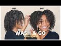 My Favorite Wash and Go This Year! | Easy and Quick Wash Day Routine!