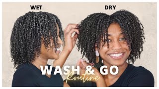 My Favorite Wash and Go This Year! | Easy and Quick Wash Day Routine!