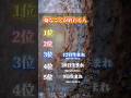 【金運のせせらぎ】心の淀みをさらさらと流す音。綺麗になった場所へ、新しい富が流れ込みます。