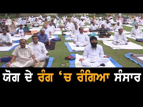 International Yoga Day | ਪੰਜਾਬੀਆਂ ਨੇ ਵੀ ਕੀਤੇ ਯੋਗ-ਆਸਨ | TV Punjab
