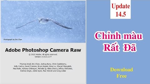 Camera raws 14.5 chỉnh màu rất đã | chiasepts