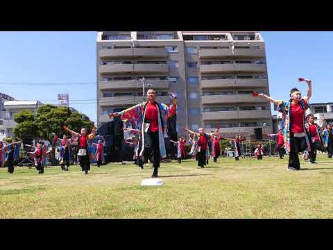 エイトフラッグ＆Umoja（2018湘南よさこい）