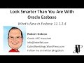 What's New in Essbase 11.1.2.4