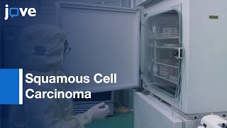 ECM Fabrication and Reconstitution of Squamous Cell Carcinoma | Protocol Preview