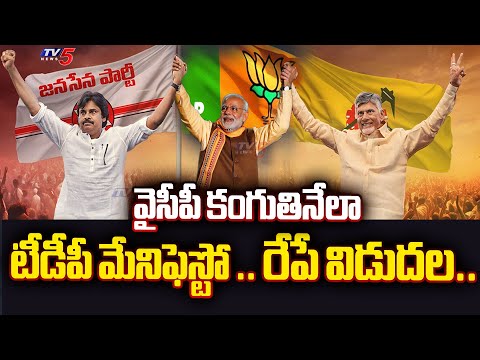 ఆసక్తికర అంశాలు.. | TDP BJP Janasena BAHUBALI MANIFESTO To Release on Tomorrow | TV5 News - TV5NEWS