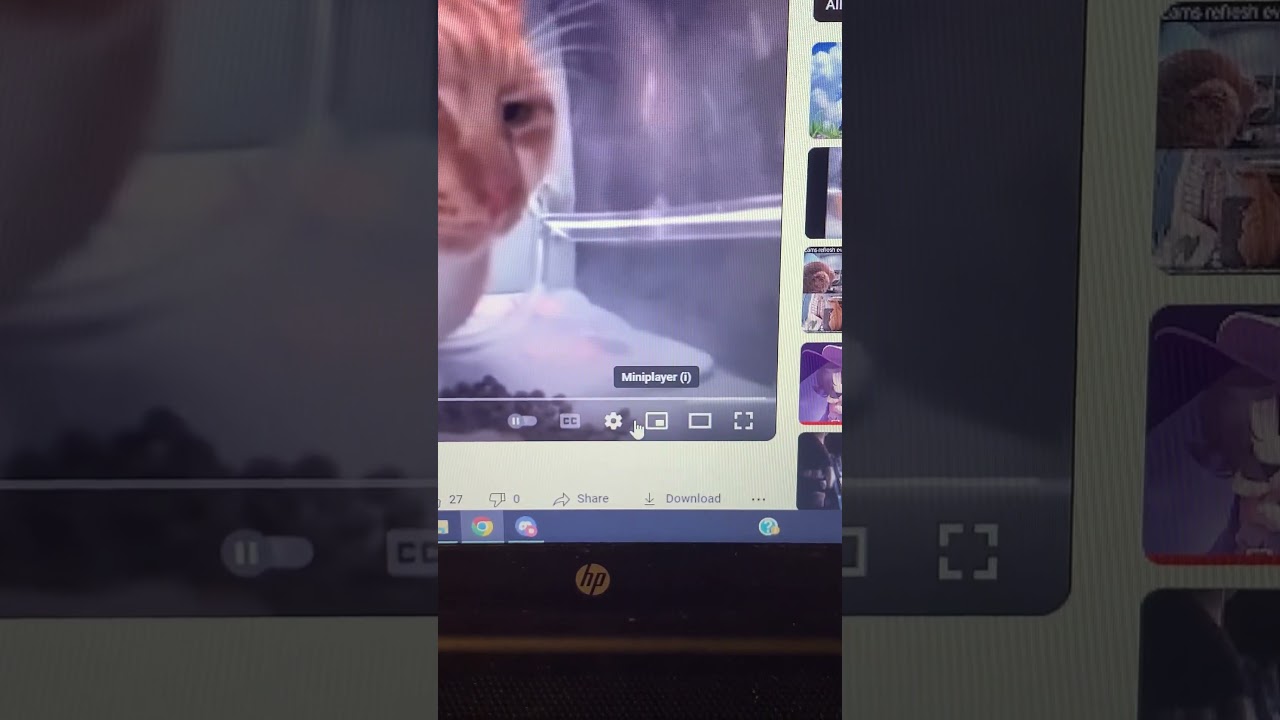 Funny YouTube bar thing :P 