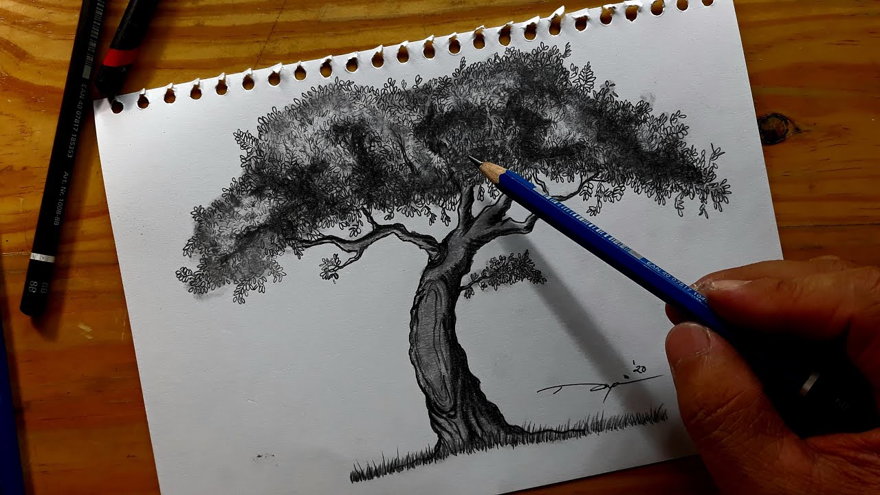 Cara saya menggambar pohon