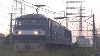 【豪快なジョイント音！】JR貨物 EF210-110号機+コキ20B 新A202仕業[1094レ] 東京タ行 八丁畷〜川崎新町間通過！[2023.09.28(木)]