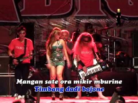 Ikif Kawashima (Wedus)_Dangdut