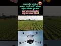 माझा पहिला ड्रोन ने 🍅 प्लॉट चा विडिओ shoot केलाय #tomato_farming #DJImini5pro