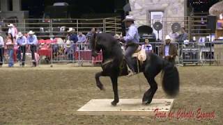 Feria del Caballo Espanol