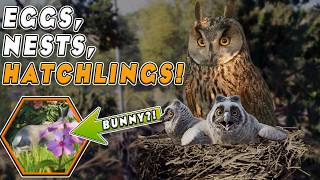 Planet Zoo 2 Birds Can Finally Lay Eggs… AND Was That a Bunny?! | Feature Focus | Planet Zoo 2