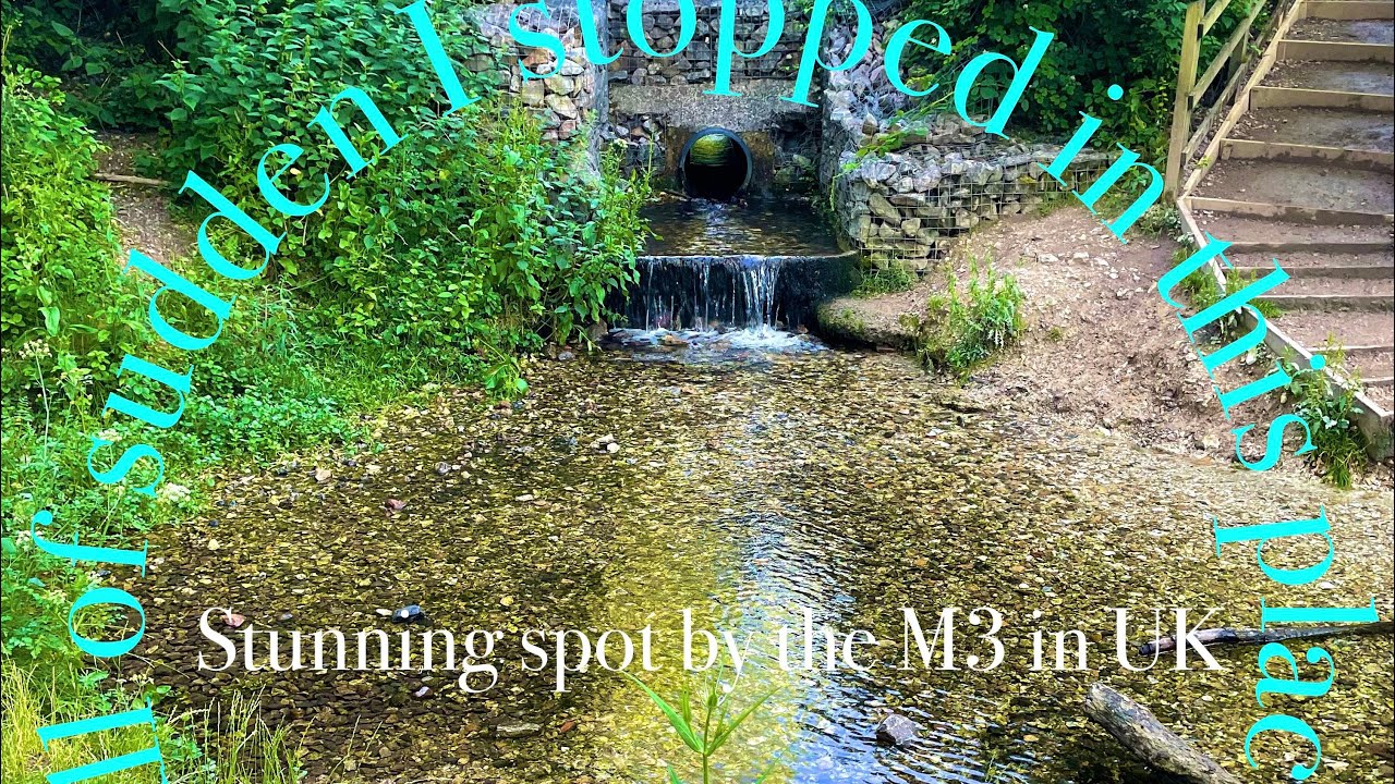 Black Dam Pond , Basingstoke YouTube