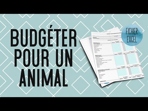 Vidéo: Comment un vétérinaire économise de l'argent sur les fournitures pour animaux de compagnie